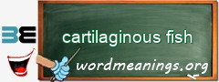 WordMeaning blackboard for cartilaginous fish